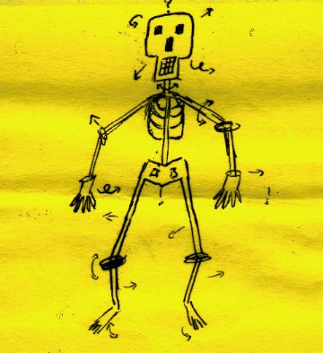 Skeleton